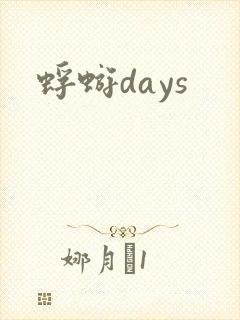 蜉蝣days