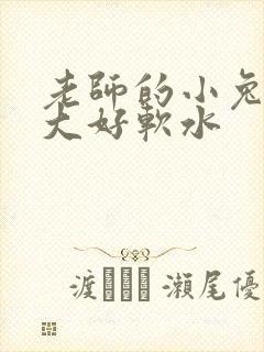 老师的小兔子好大好软水封面