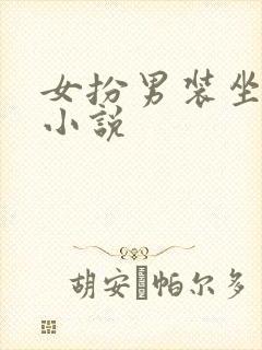 女扮男装坐江山小说