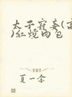 太子宠妾(高肉)红烧肉包