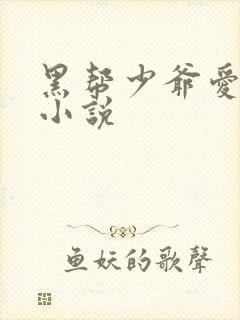 黑帮少爷爱上我小说封面