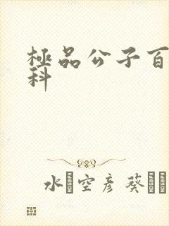 极品公子百度百科