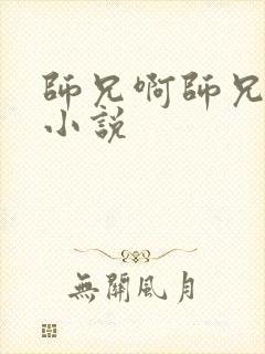 师兄啊师兄原著小说封面