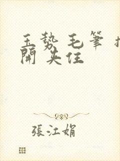 玉势 毛笔 撑开 夹住封面