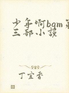 少年啊bgm第三部小说