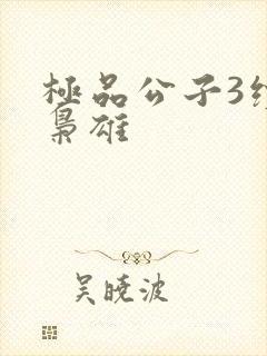 极品公子3续世枭雄