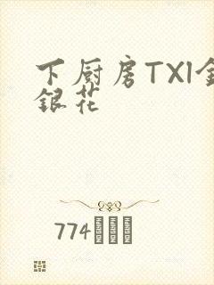 下厨房TXl金银花封面