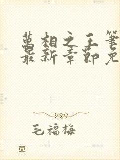 万相之王笔趣阁最新章节免费阅读