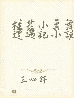 校花小柔舞蹈室遭遇记小说