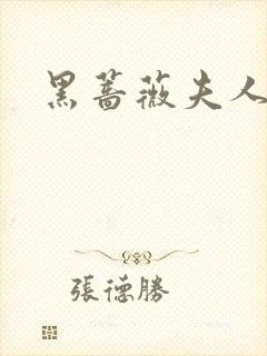 黑蔷薇夫人封面