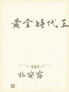 黄金时代王小波封面