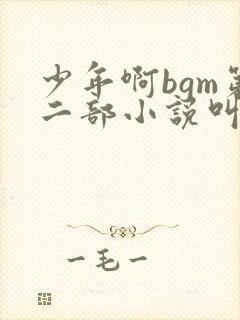 少年啊bgm第二部小说叫什么