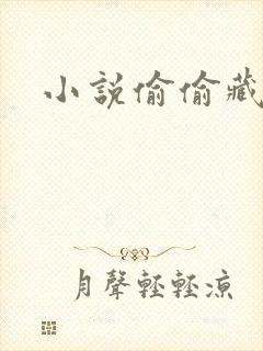 小说偷偷藏不住