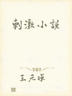 刺激小说