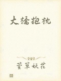 大桥抱枕