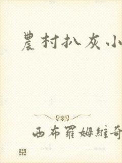 农村扒灰小说