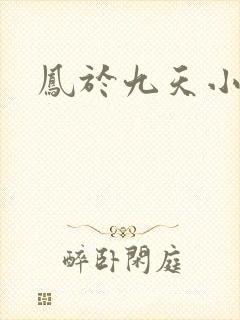凤于九天小说