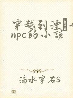 穿越到湮婸世界npc的小说