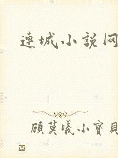 连城小说网