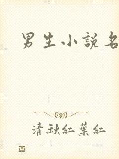 男生小说名字封面