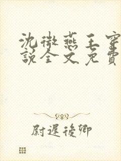 沈微燕王穿越小说全文免费阅读