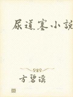 尿道塞小说