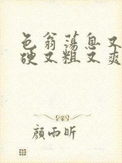 色翁荡息又大又硬又粗又爽电影