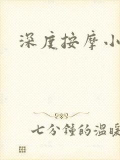 深度按摩小说