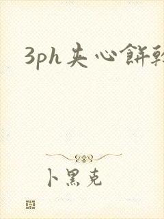 3ph夹心饼干封面
