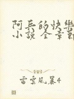 阿兵的快乐生活小说 全章节阅读免费