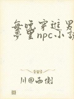 每晚穿进男神的梦里npc小说