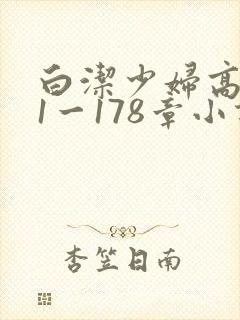 白洁少妇高义第1一178章小说封面