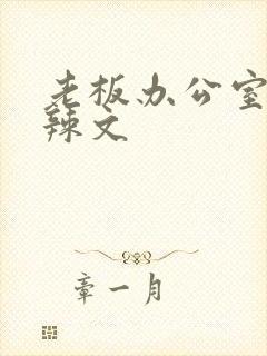 老板办公室系列辣文