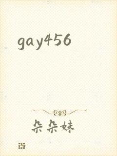 gay456封面
