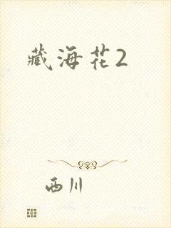 藏海花2封面