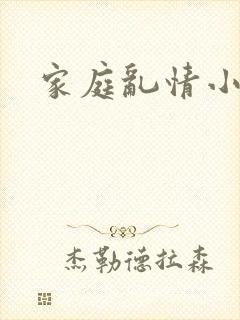家庭乱情小说