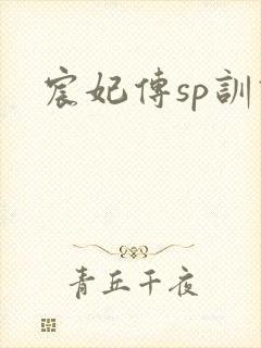 宸妃传sp训诫