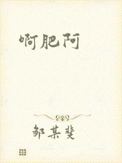 啊肥阿封面