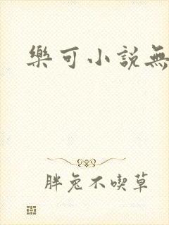 乐可小说无删减封面