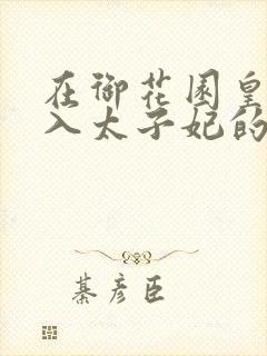 在御花园皇上进入太子妃的小说