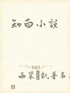 知白小说