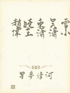 赵晓东吴雪晴郑伟王潇潇小说名字封面