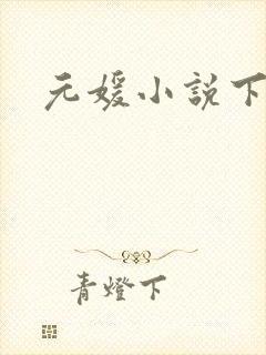 元媛小说下载