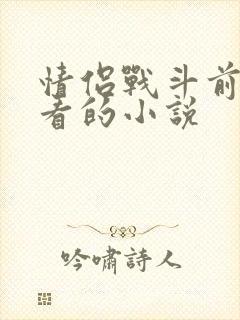 情侣战斗前适合看的小说