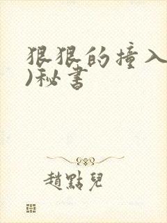 狠狠的撞入(h)秘书封面