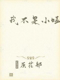 我不是小哑巴封面