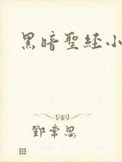 黑暗圣经小说