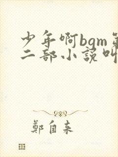 少年啊bgm第二部小说叫什么封面