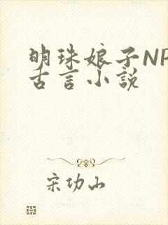 明珠娘子NPC古言小说封面