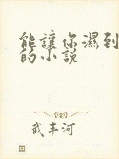 能让你湿到不行的小说